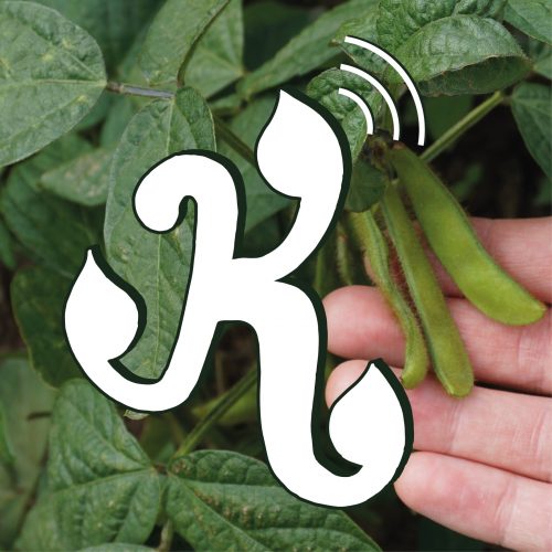 eat-it_500x eat-it_500x