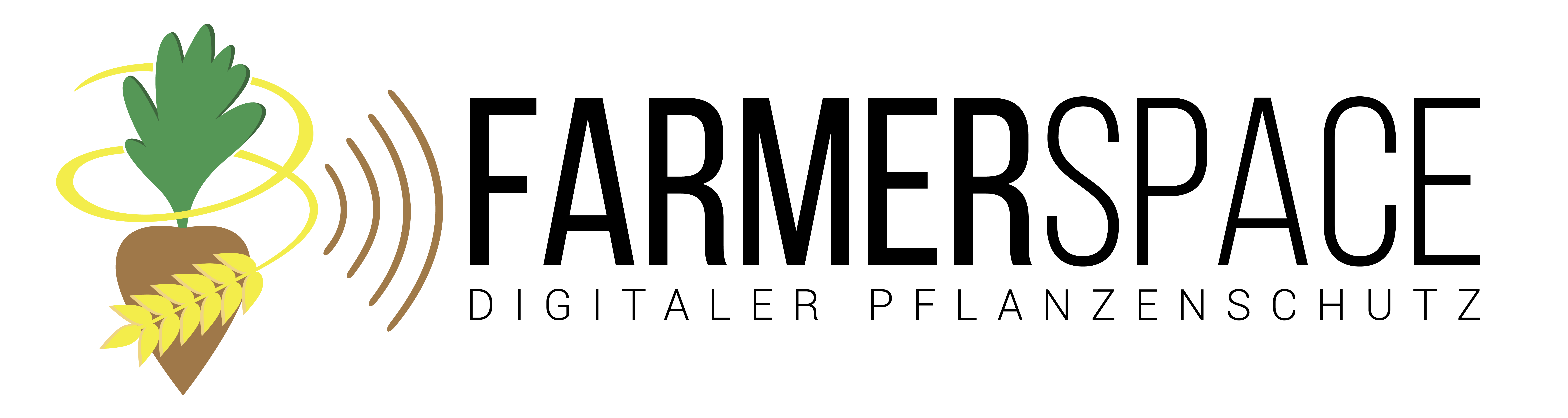 FS_Logo_CMYK_Schrift_Grafik