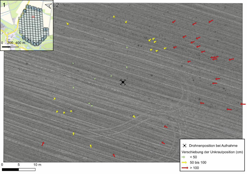Abbildung 2: Die untersuchte Aufnahme mit den erkannten Pflanzen und einem Sicherheitspuffer von einem bzw. zwei Metern für eine mögliche Unkrautbehandlung.
