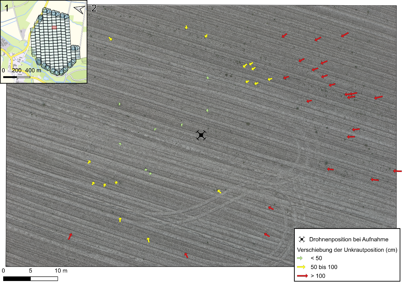 Abbildung 2: Die untersuchte Aufnahme mit den erkannten Pflanzen und einem Sicherheitspuffer von einem bzw. zwei Metern für eine mögliche Unkrautbehandlung.