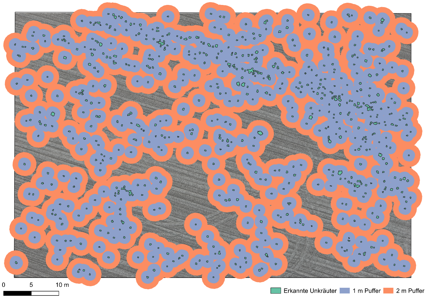 Abbildung 2: Die untersuchte Aufnahme mit den erkannten Pflanzen und einem Sicherheitspuffer von einem bzw. zwei Metern für eine mögliche Unkrautbehandlung.