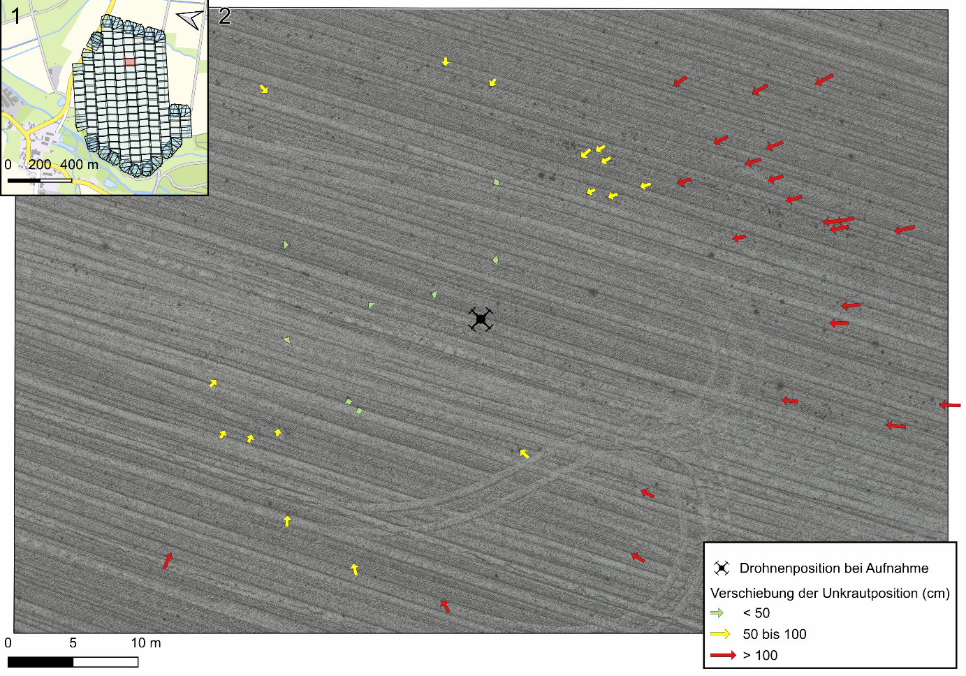 Abbildung 2: Die untersuchte Aufnahme mit den erkannten Pflanzen und einem Sicherheitspuffer von einem bzw. zwei Metern für eine mögliche Unkrautbehandlung.