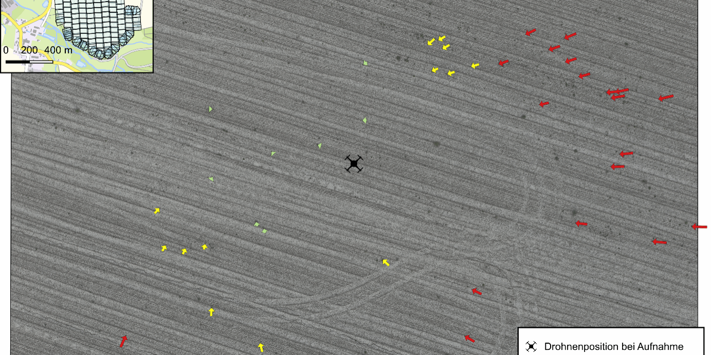 Abbildung 2: Die untersuchte Aufnahme mit den erkannten Pflanzen und einem Sicherheitspuffer von einem bzw. zwei Metern für eine mögliche Unkrautbehandlung.