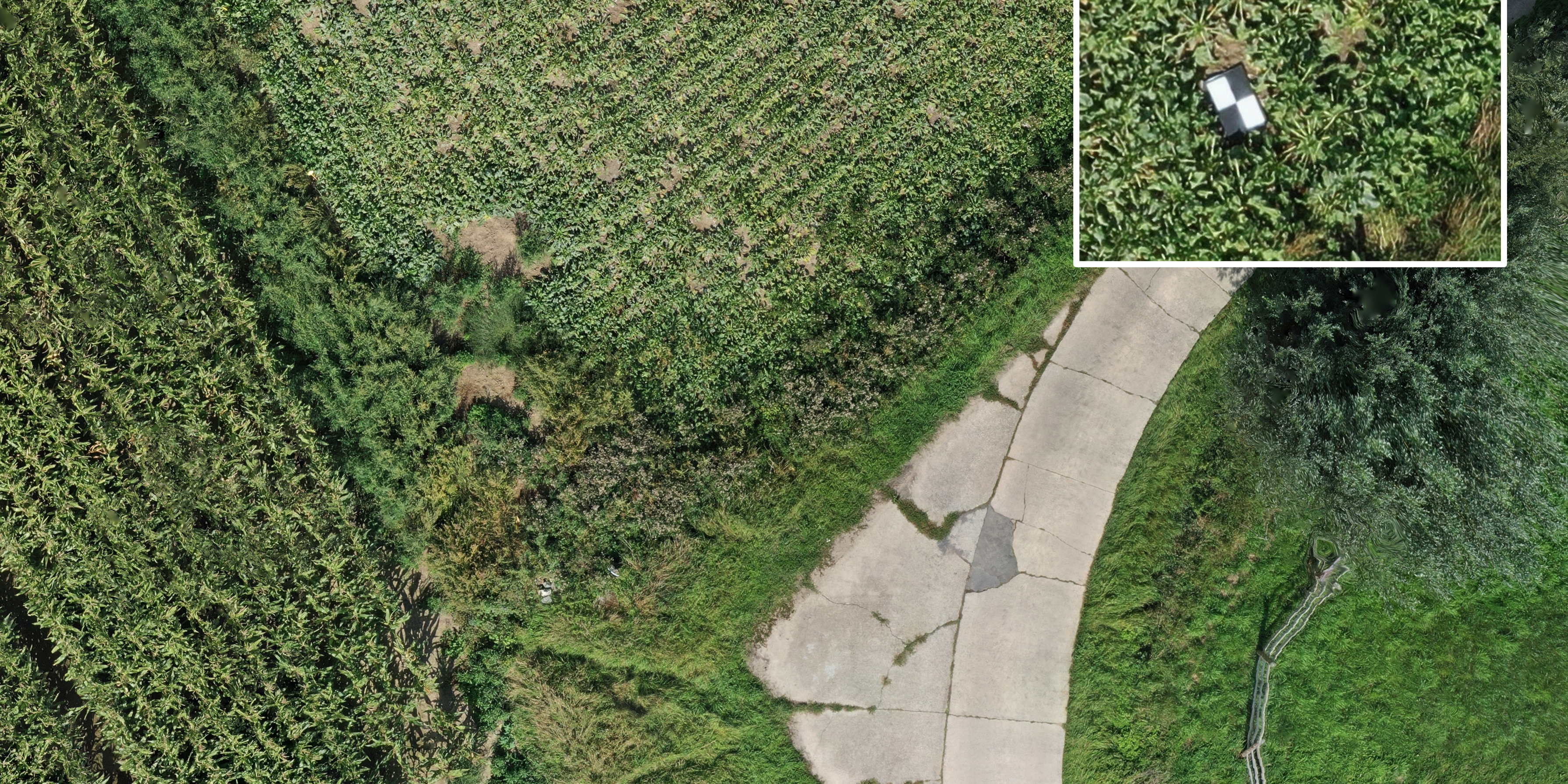 fig1_gcps_homepage_farmerspace fig1_gcps_homepage_farmerspace